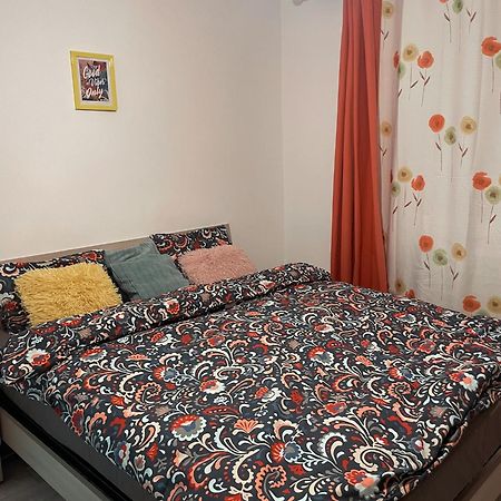 Good Vibes Apartment 坎普朗莫道尼斯 外观 照片