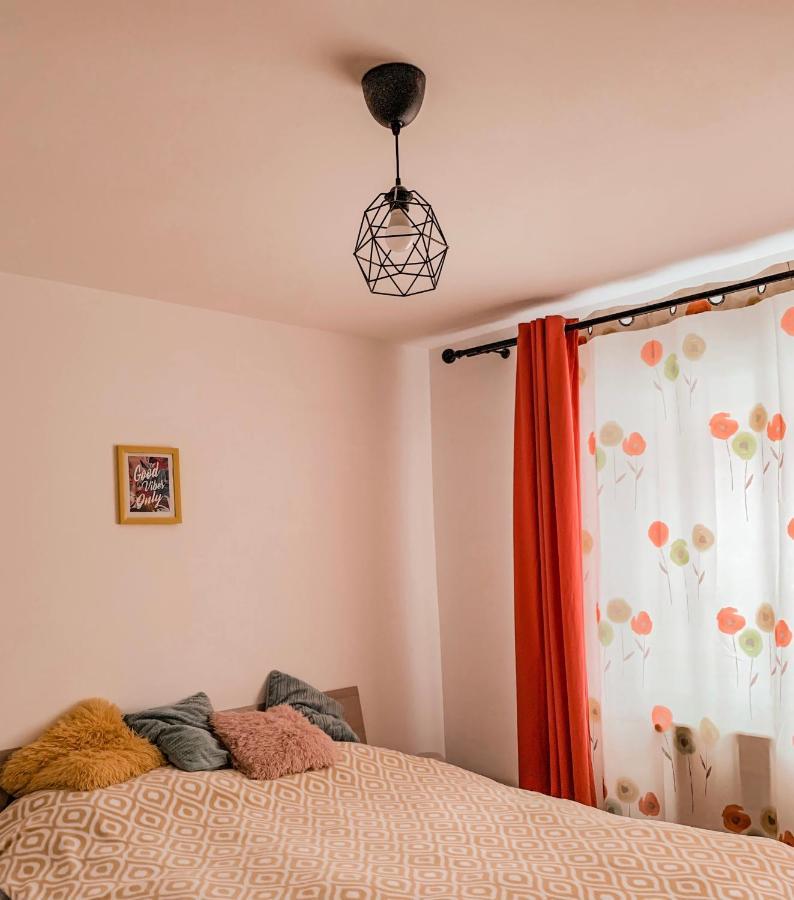 Good Vibes Apartment 坎普朗莫道尼斯 外观 照片