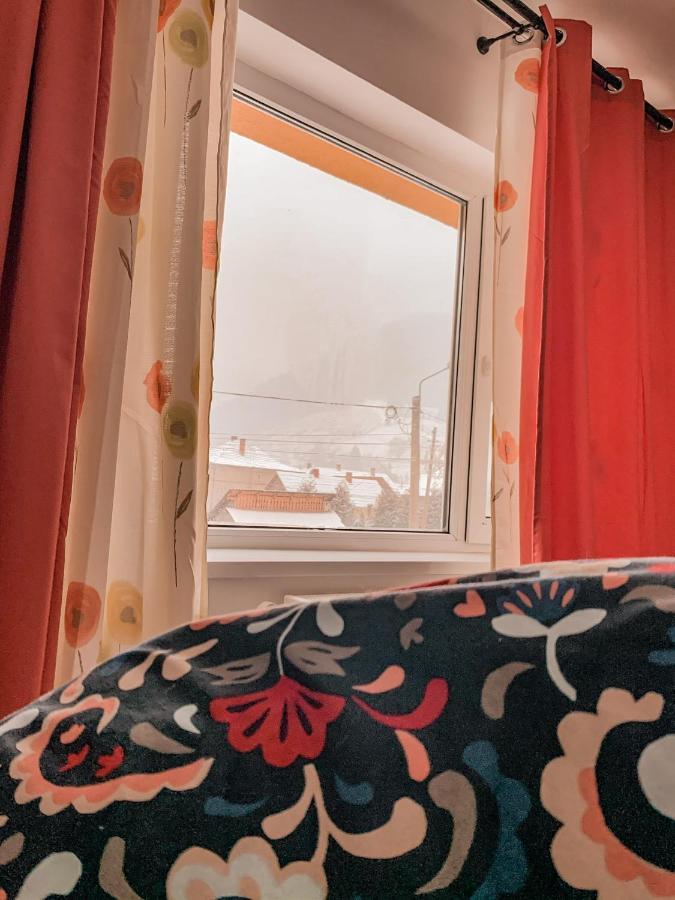 Good Vibes Apartment 坎普朗莫道尼斯 外观 照片