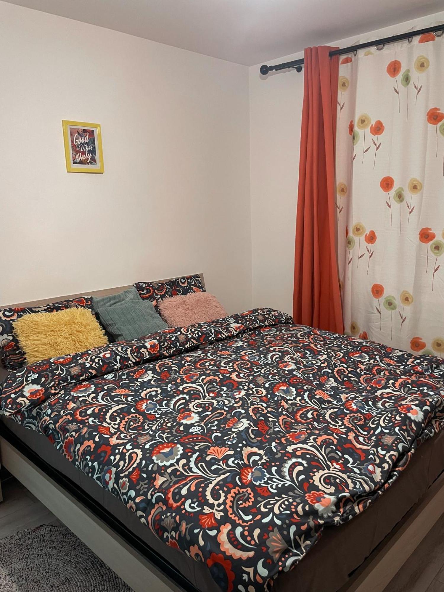 Good Vibes Apartment 坎普朗莫道尼斯 外观 照片