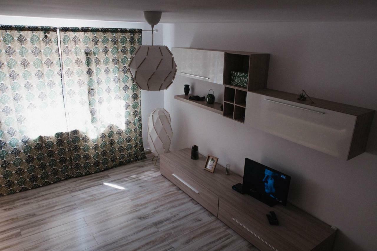 Good Vibes Apartment 坎普朗莫道尼斯 外观 照片