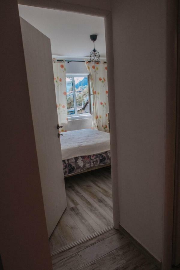 Good Vibes Apartment 坎普朗莫道尼斯 外观 照片