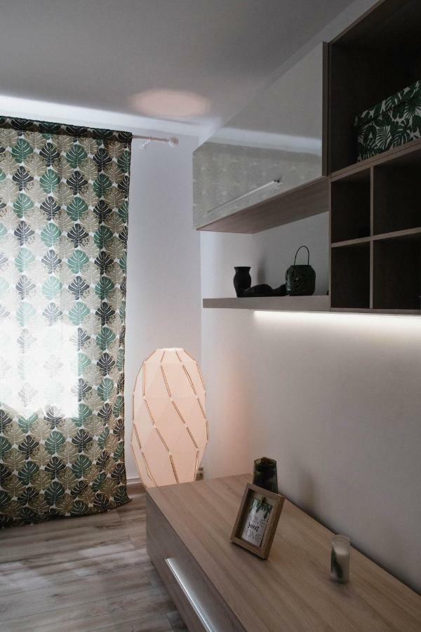 Good Vibes Apartment 坎普朗莫道尼斯 外观 照片